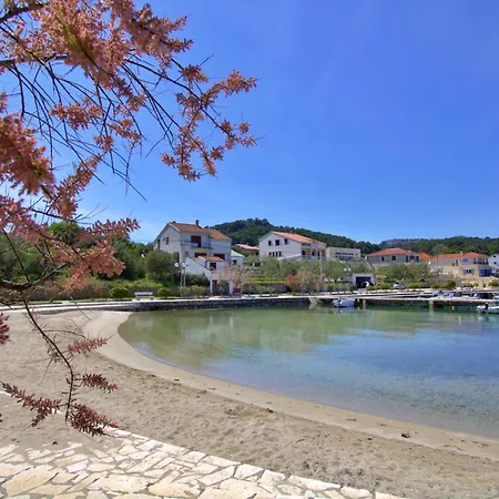 Casa vacanze Olea House