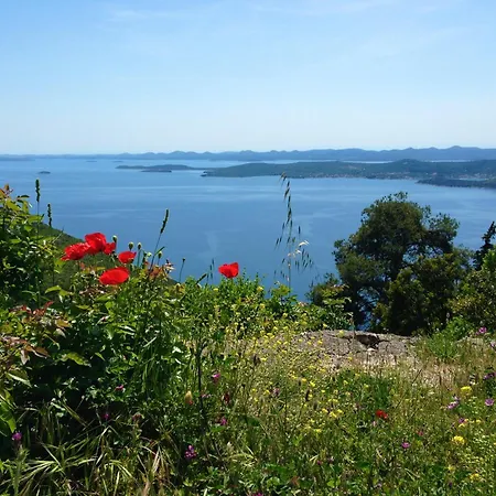 Olea House * Lukoran