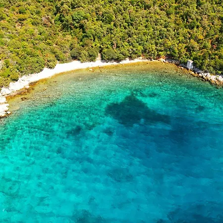 Olea House Casa vacanze