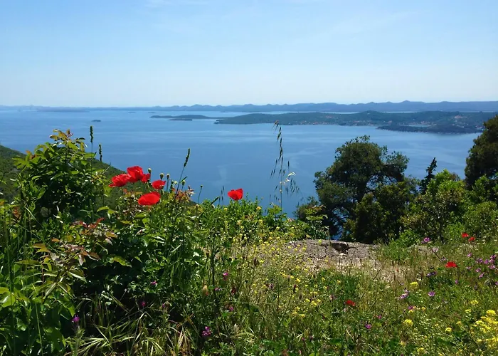 Olea House * Lukoran