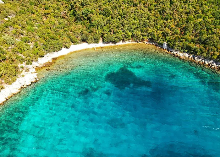 Olea House Prázdninový dům